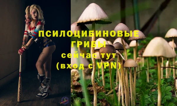 мет Зеленокумск