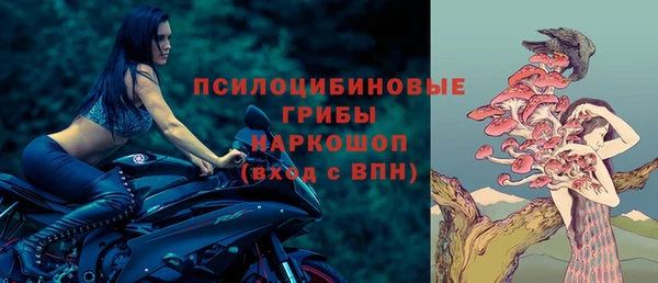 ECSTASY Зерноград