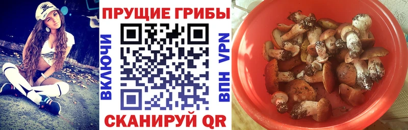 Галлюциногенные грибы MAGIC MUSHROOMS  ОМГ ОМГ ТОР  Красноярск 